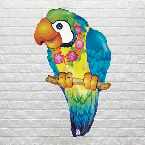 tropical parrot