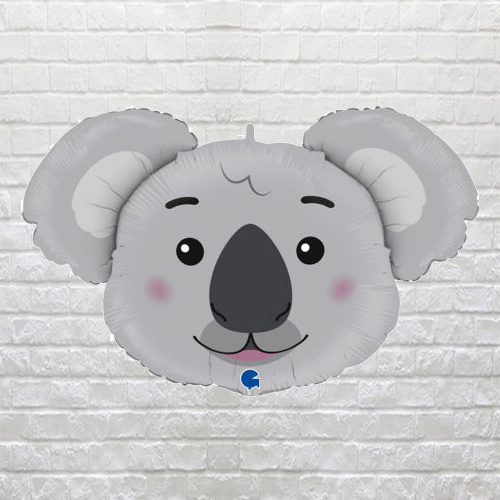 cute koala