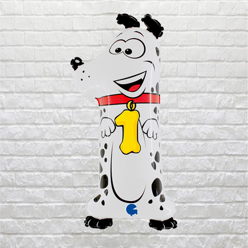 animaloon 1 dog