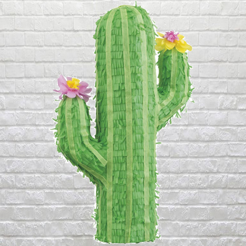 cactus 3d