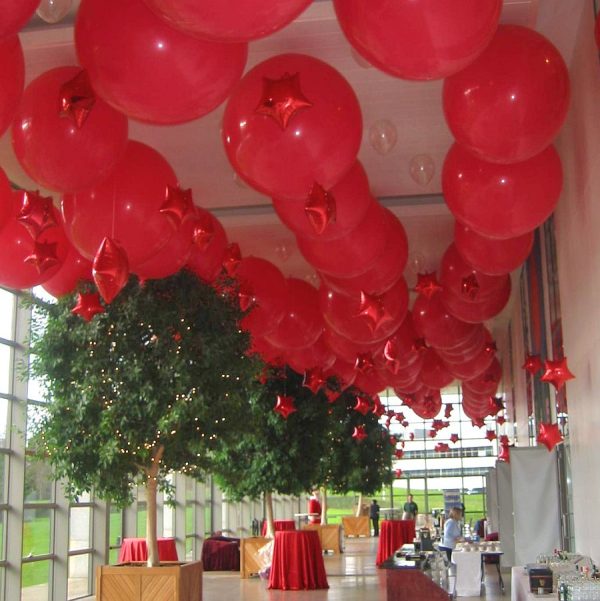 UCD Atrium