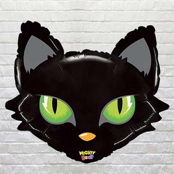 Black cat
