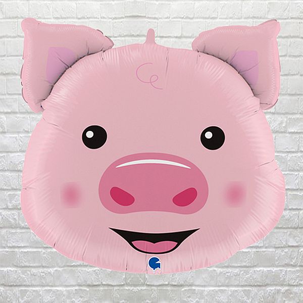 Playful Pig
