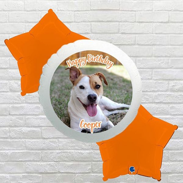 Orange Star Happy Birthday Dog Photo Bouquet