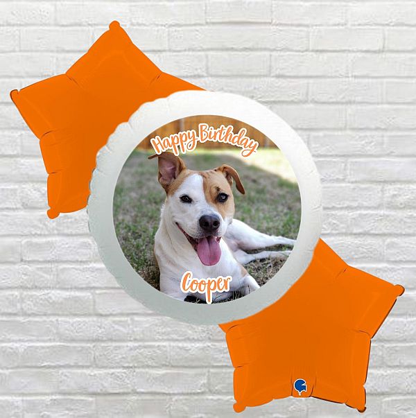 Orange Star Happy Birthday Dog Photo Bouquet